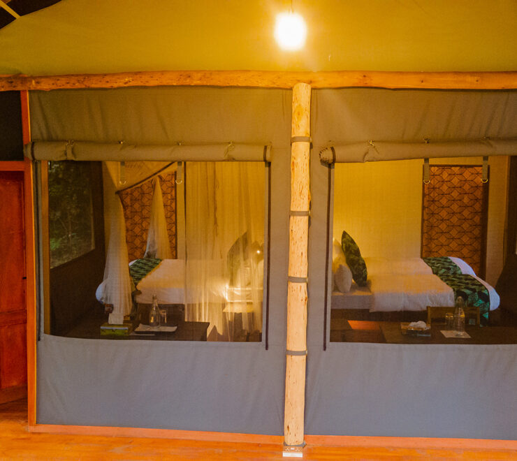 Family Tent
