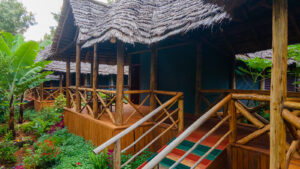 Gallery Thumbnail 0